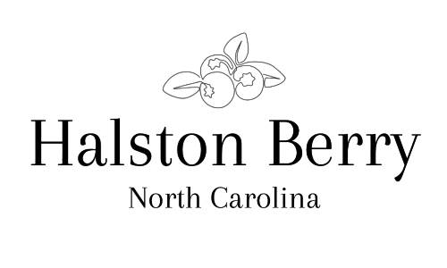 Halston Berry